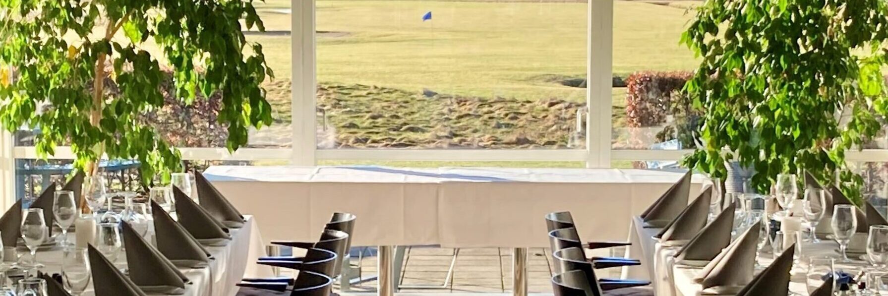 golfcafe selskab