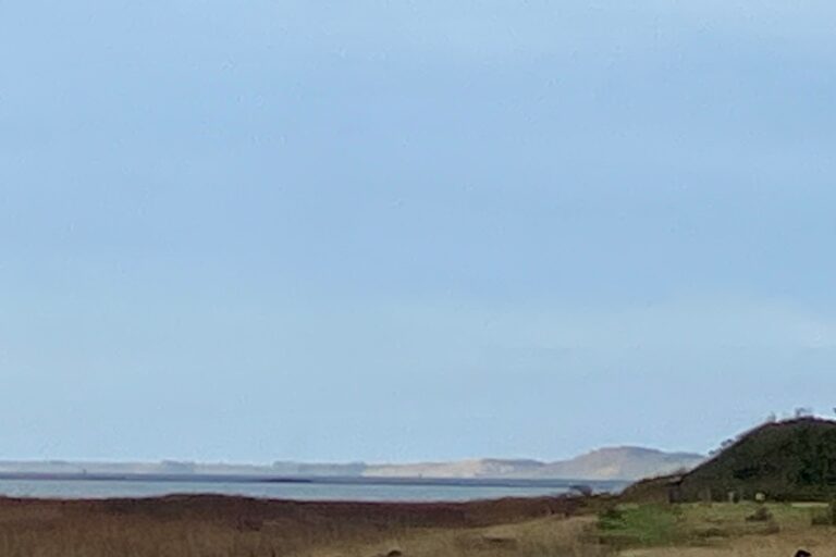 Billede af naturen i Hals