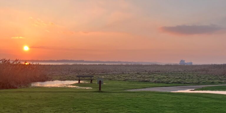 Skøn natur vinterfjord ved Hals golfklub