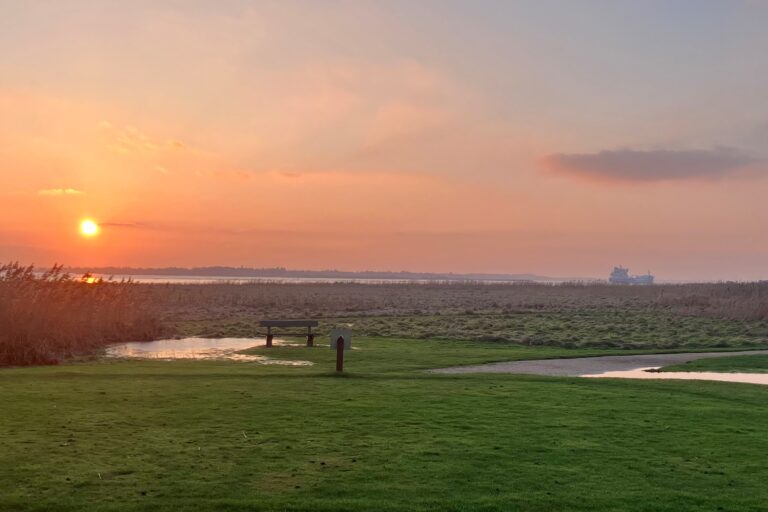 Skøn natur vinterfjord ved Hals golfklub